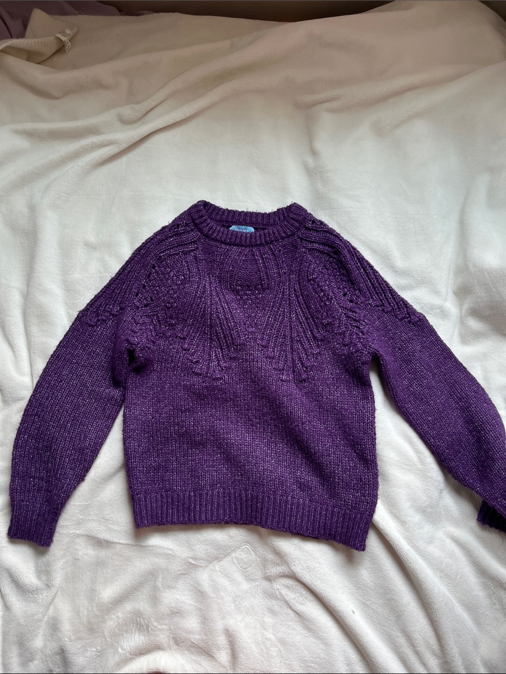 Cozy Purple Crewneck Knit Sweater for Women